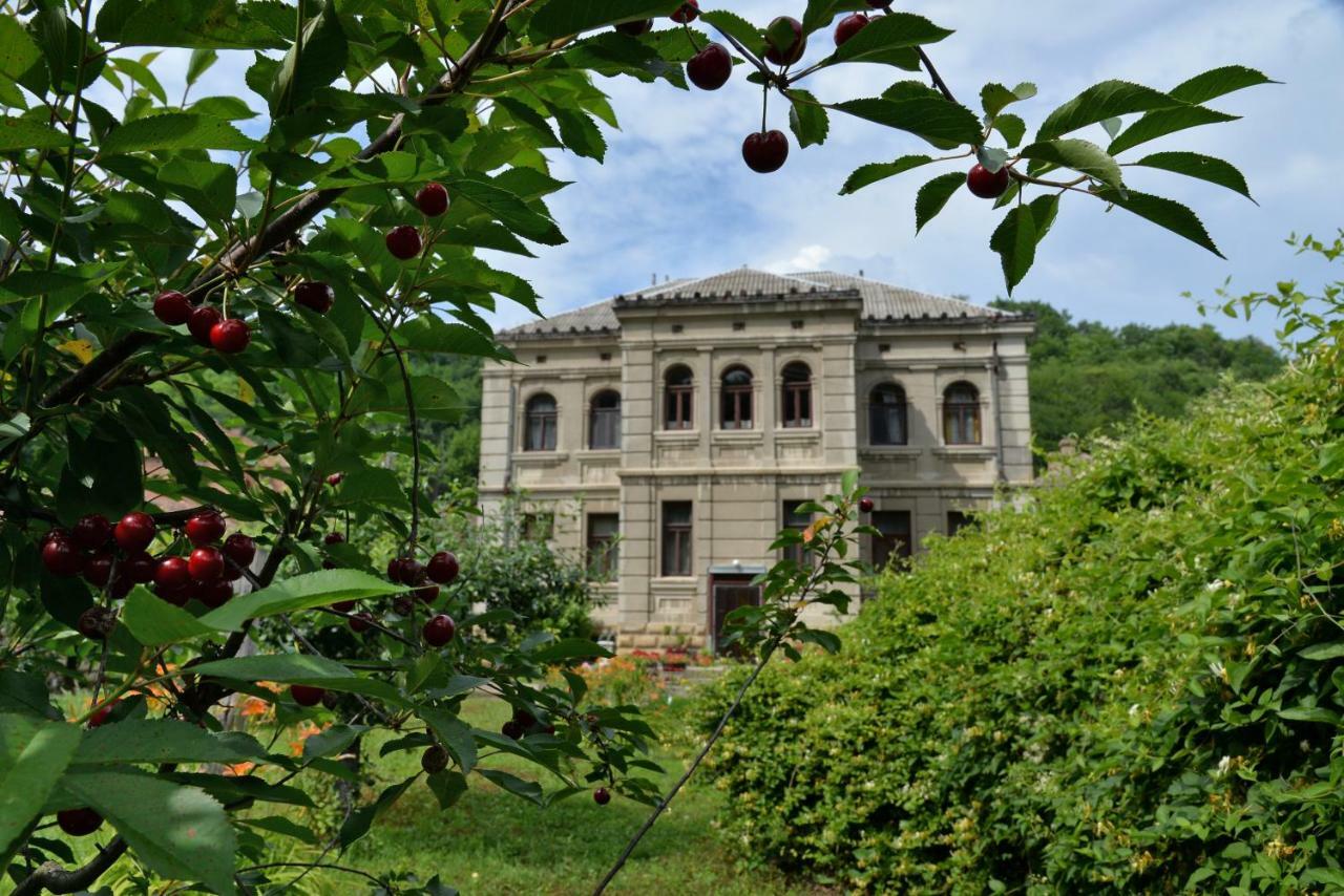 Country House Dunjin Konak Rogljevo Eksteriør billede