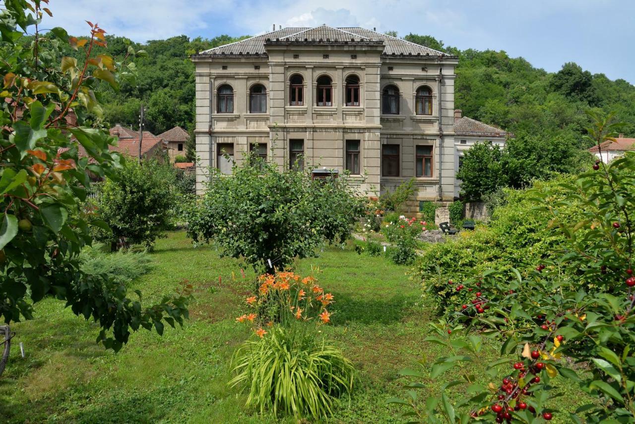 Country House Dunjin Konak Rogljevo Eksteriør billede